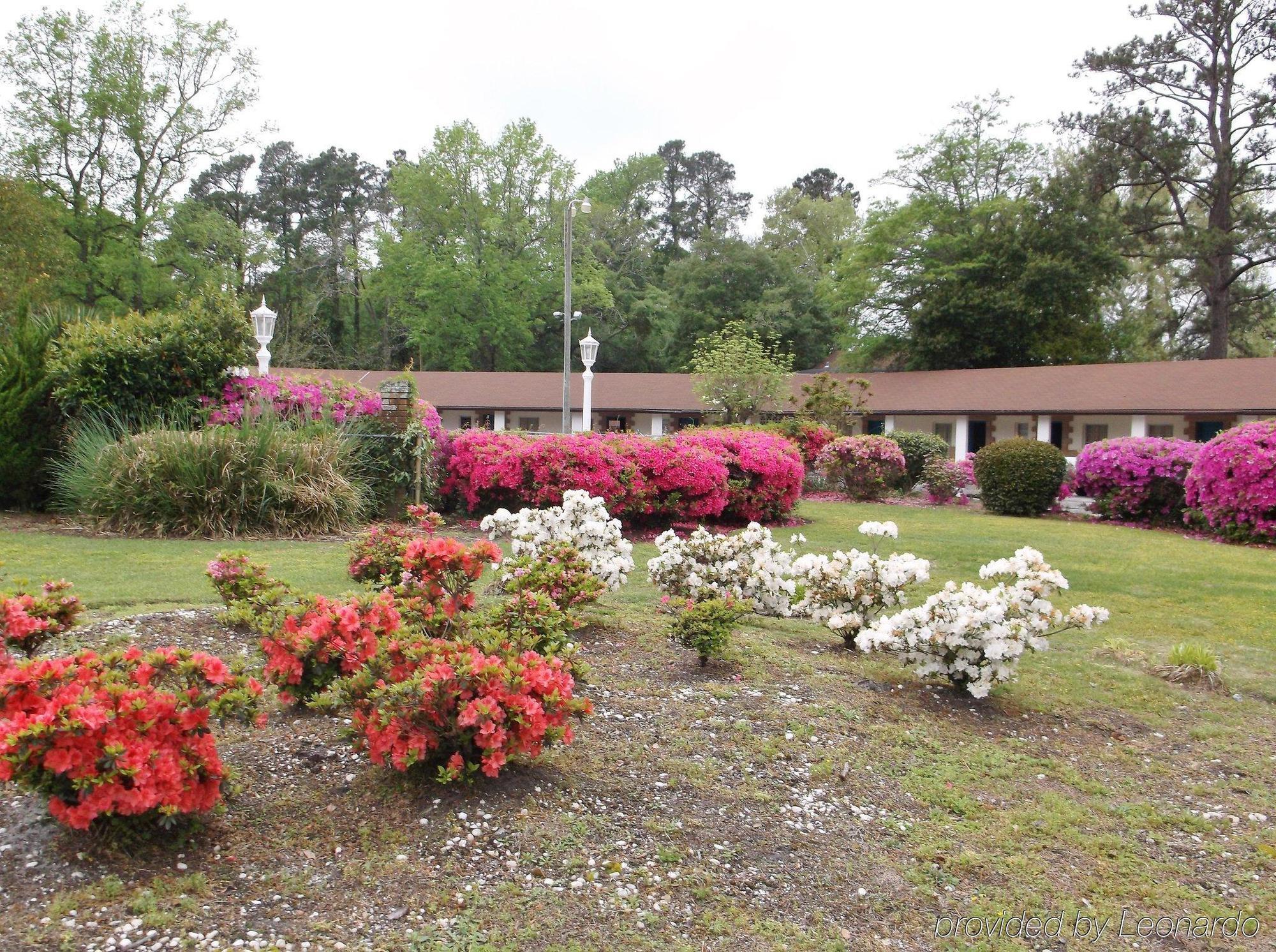 Azalea Inn & Suites Wilmington Zewnętrze zdjęcie